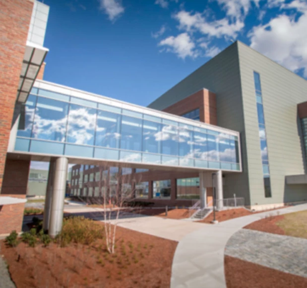 bristol-myers-squibb