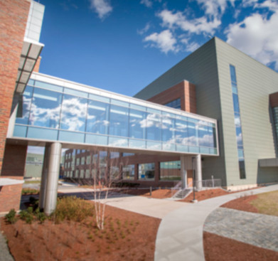 bristol-myers-squibb